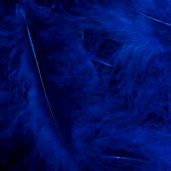 Decoratie veren 40 gram per verpakking, kleur koningsblauw
 